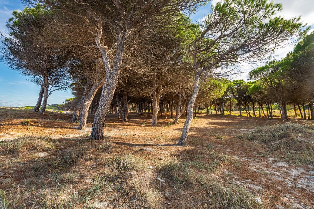 Affittasardegna-Case Pompia Siniscola Exterior photo